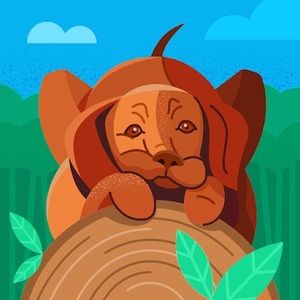 Meet your Posher, Sandy